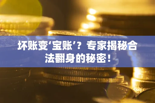 武汉坏账变‘宝账’？专家揭秘合法翻身的秘密！