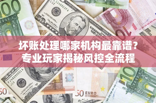 武汉坏账处理哪家机构最靠谱？专业玩家揭秘风控全流程