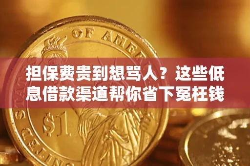 武汉担保费贵到想骂人？这些低息借款渠道帮你省下冤枉钱