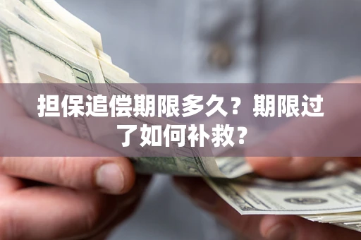 武汉担保追偿期限多久？期限过了如何补救？