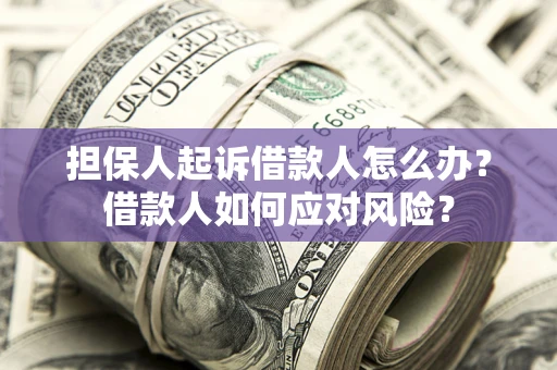 武汉担保人起诉借款人怎么办？借款人如何应对风险？