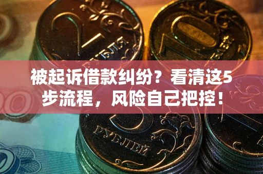 武汉被起诉借款纠纷？看清这5步流程，风险自己把控！