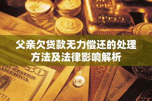 武汉父亲欠贷款无力偿还的处理方法及法律影响解析